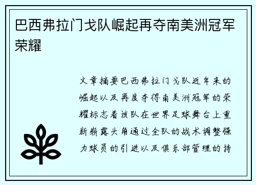 巴西弗拉门戈队崛起再夺南美洲冠军荣耀